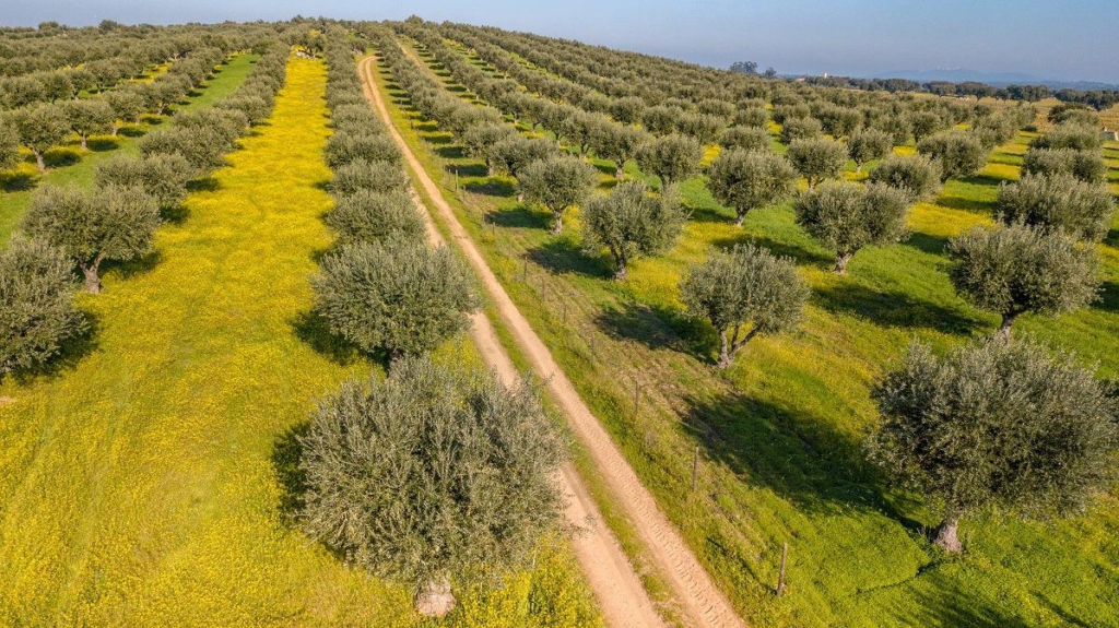 How To Choose The Right Crop To Grow