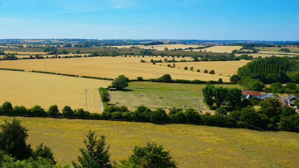 How To Choose The Right Crop To Grow