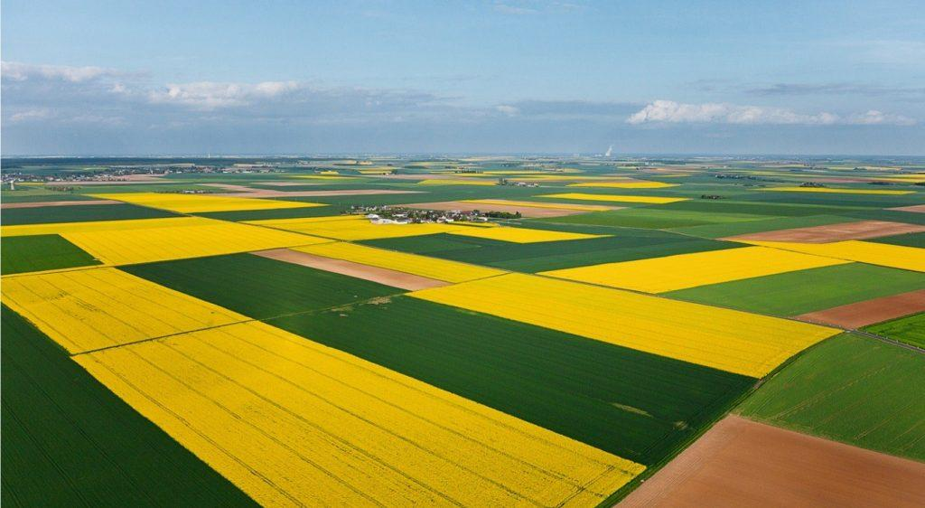 Farm Disease Prevention Guide